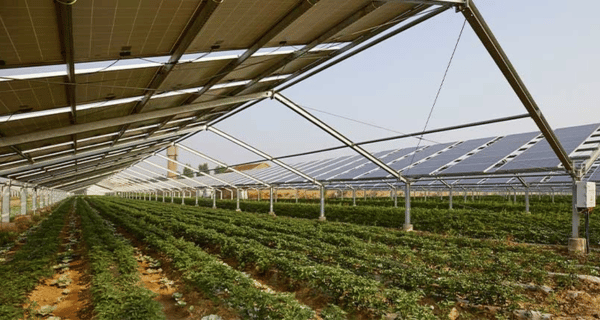 Design sem nome (59)